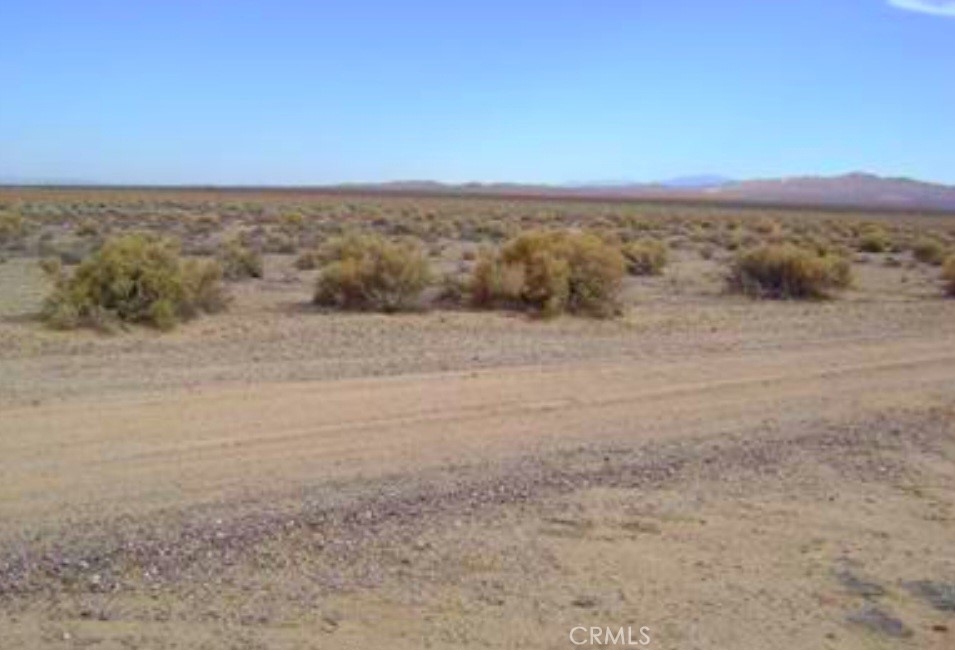 0 Shelby Road Property Photo 3