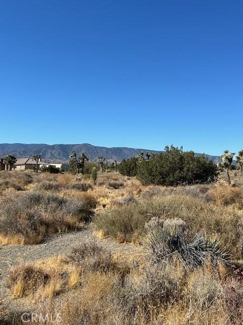0 Calaveras Property Photo 1