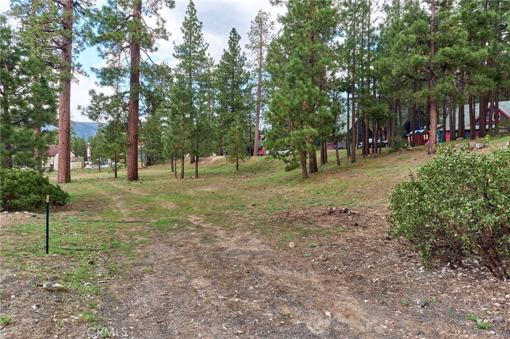 545 Wren Drive Property Photo 3