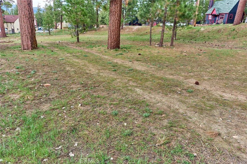 545 Wren Drive Property Photo 6