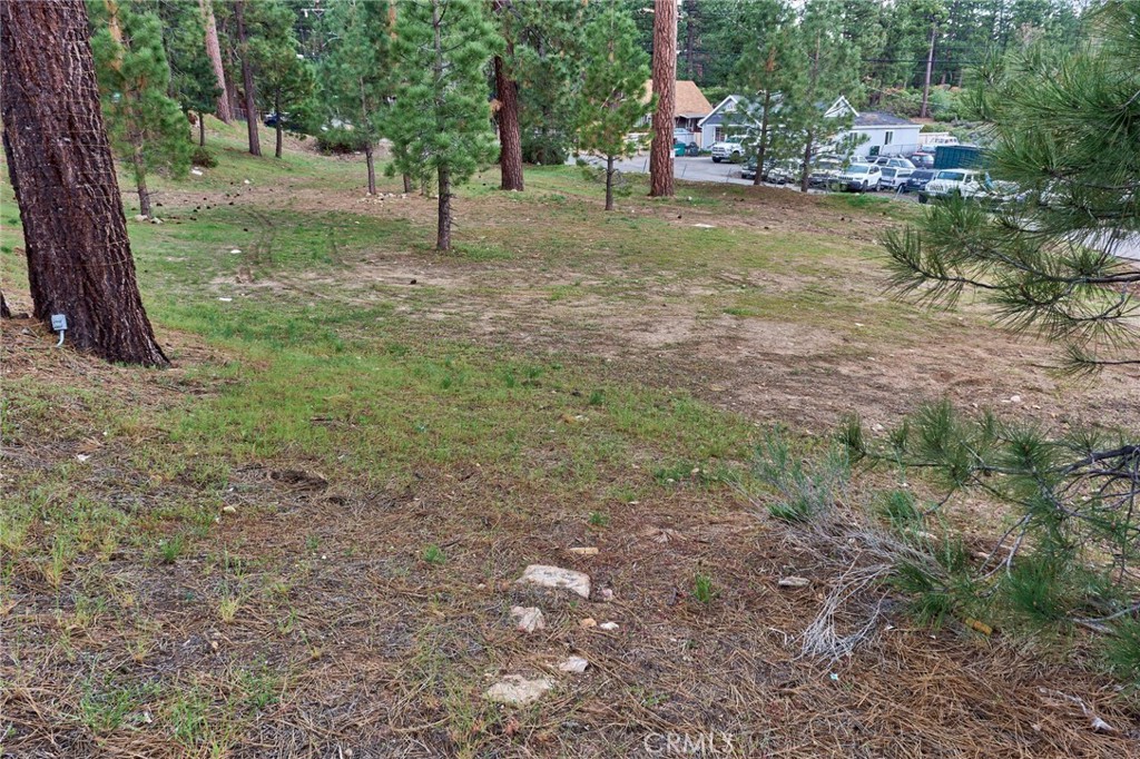 545 Wren Drive Property Photo 9