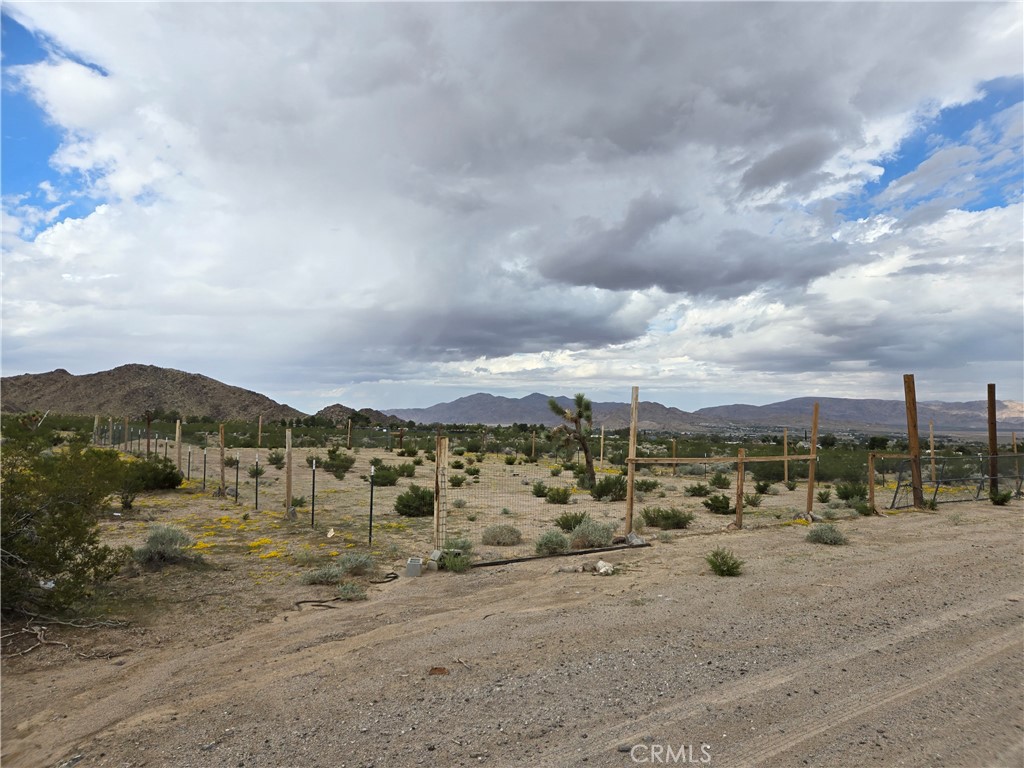 9036 Briar Property Photo 1