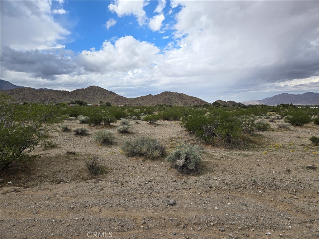 9036 Briar Property Photo 2