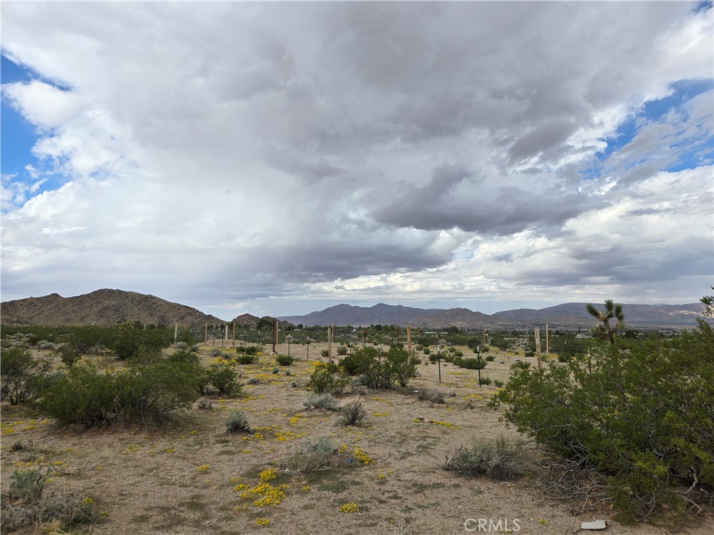 9036 Briar Property Photo 3