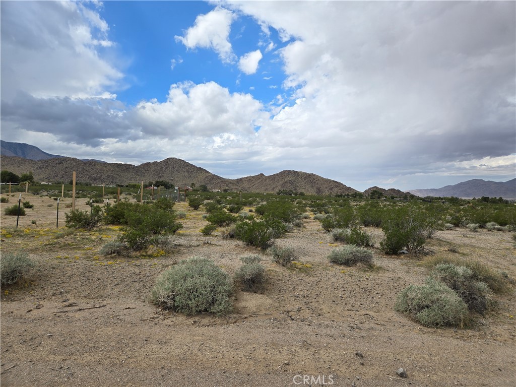 9036 Briar Property Photo 4