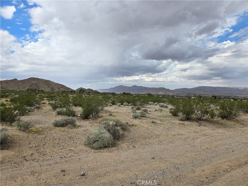 9036 Briar Property Photo 5