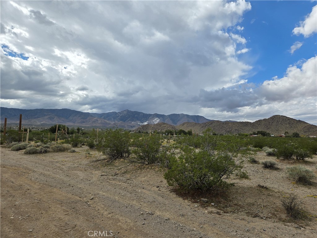 9036 Briar Property Photo 6