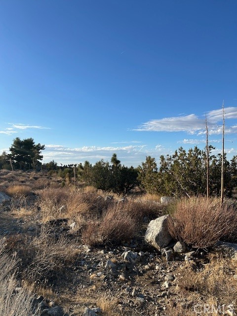 0 Yucca Property Photo 1