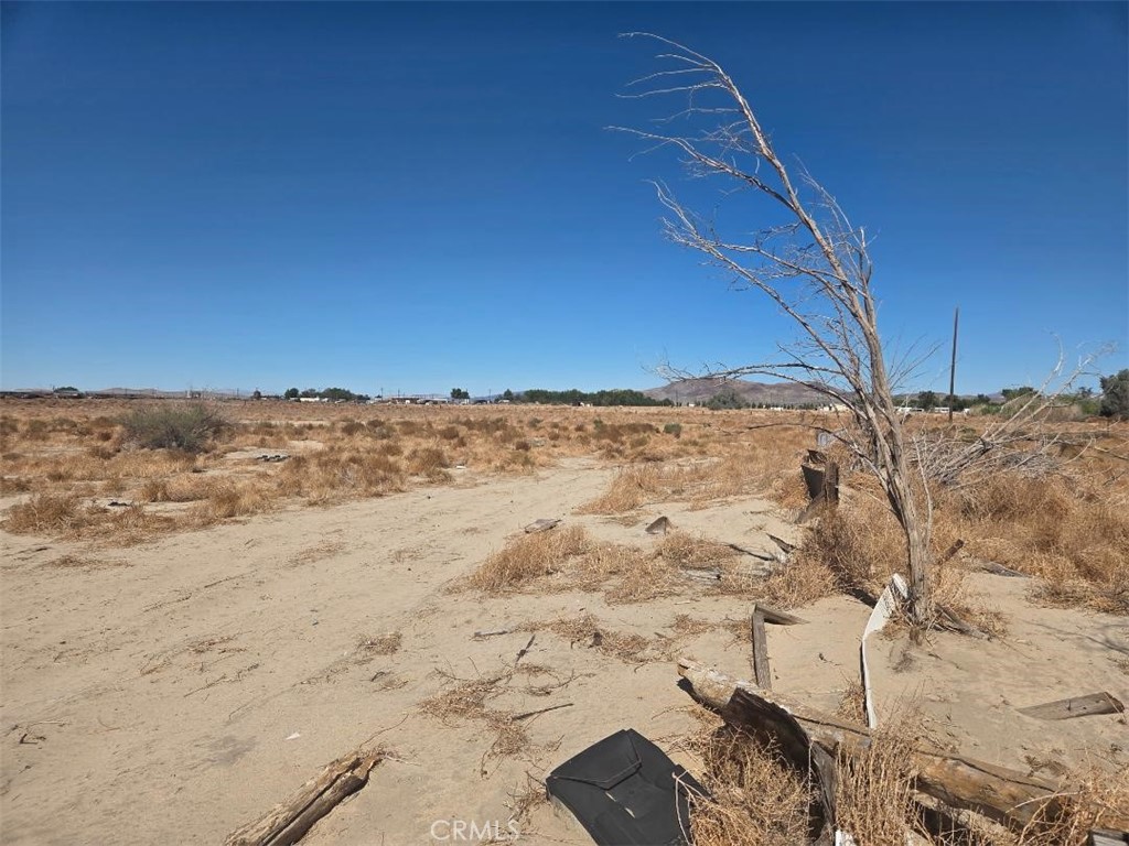 35750 Field Property Photo 3