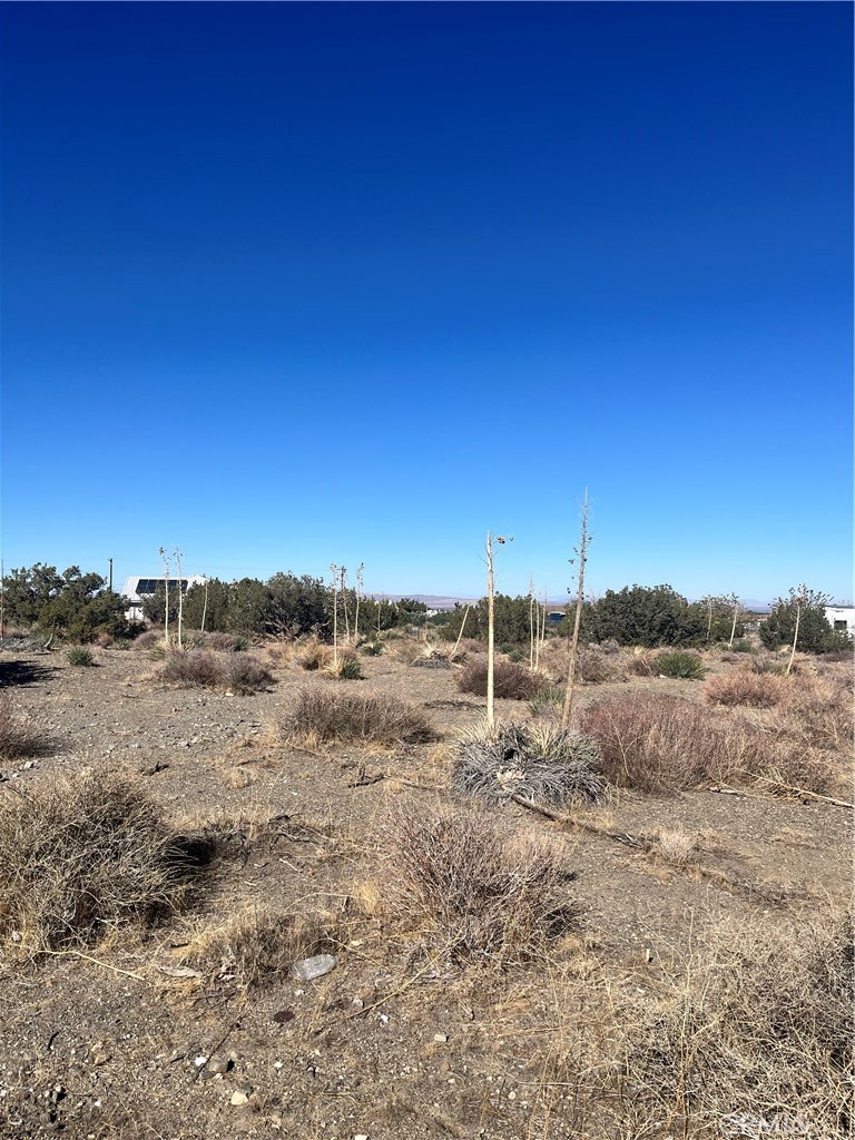 1 Beekley Property Photo 1