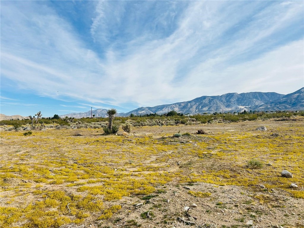 32 Amber Property Photo 8