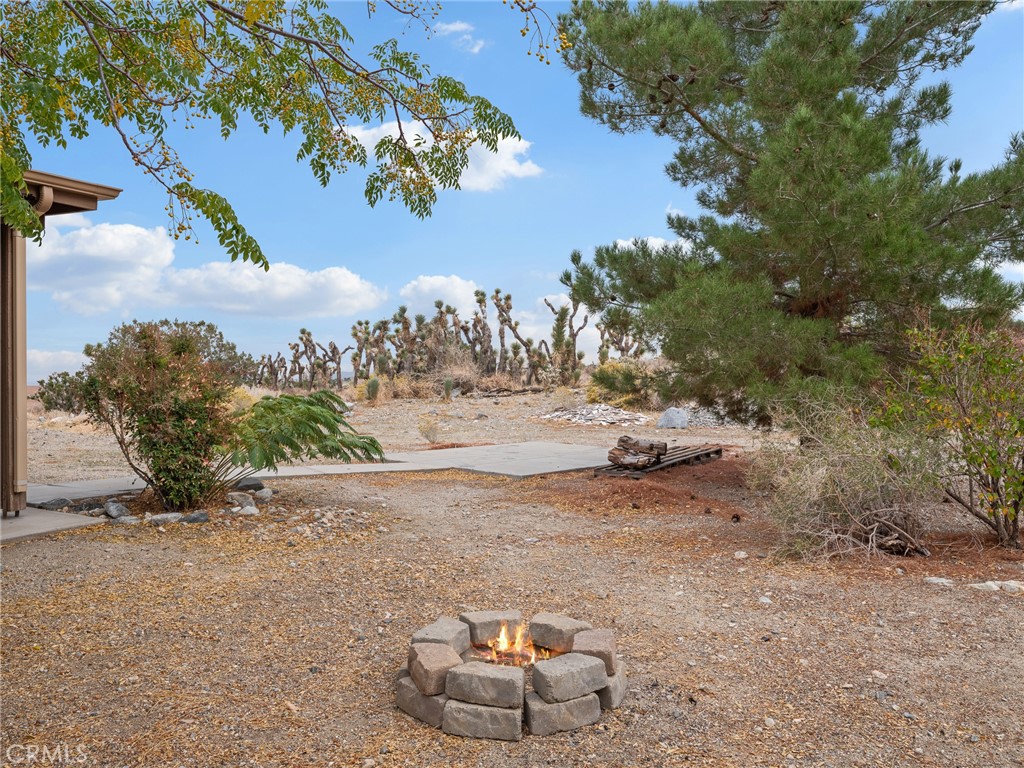 10160 Pineview Road Property Photo 33
