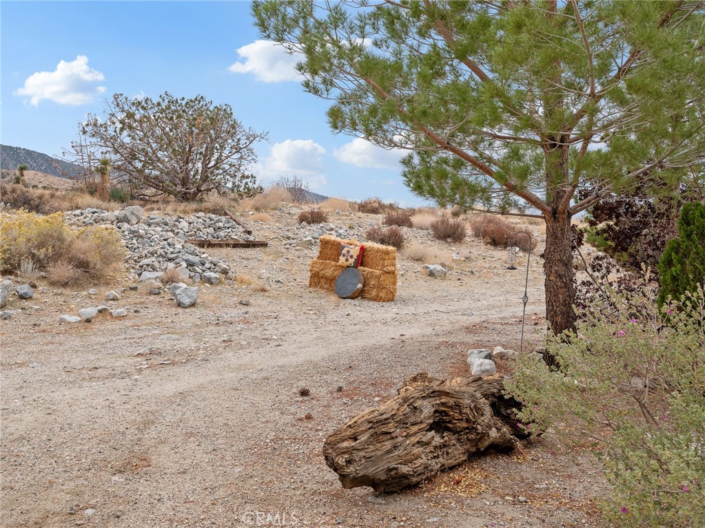 10160 Pineview Road Property Photo 35