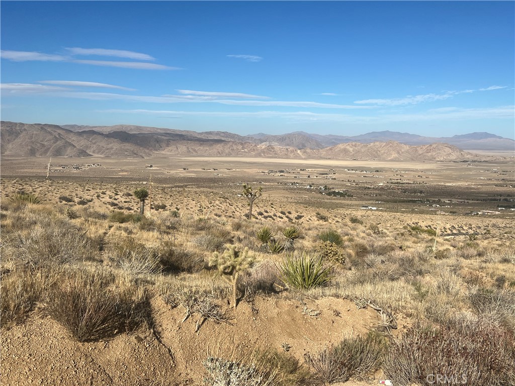 28138 Oriole Property Photo 4