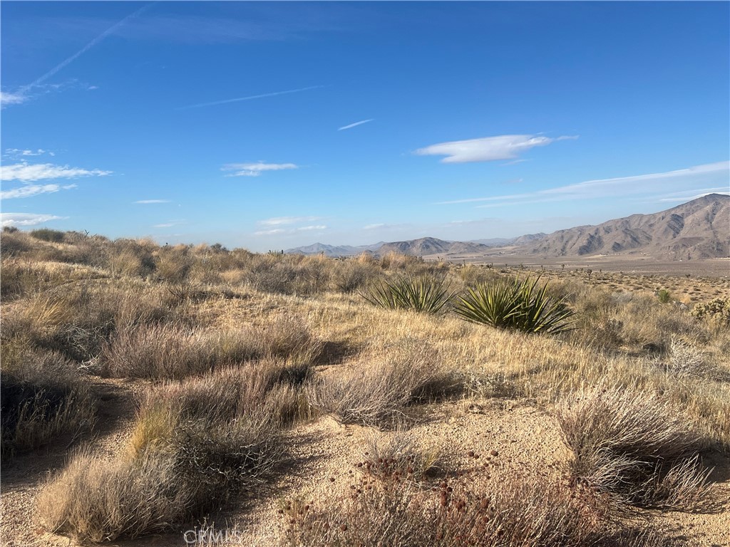 28138 Oriole Property Photo 6