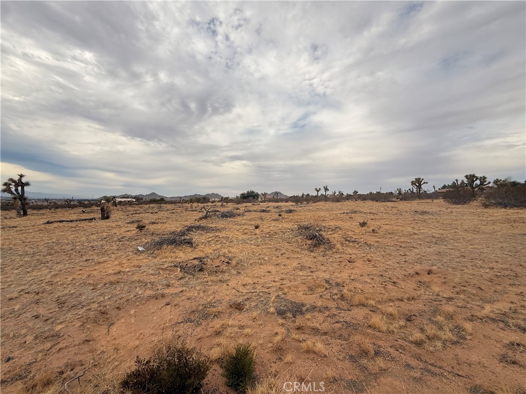 16252 Olema Road Property Photo 2