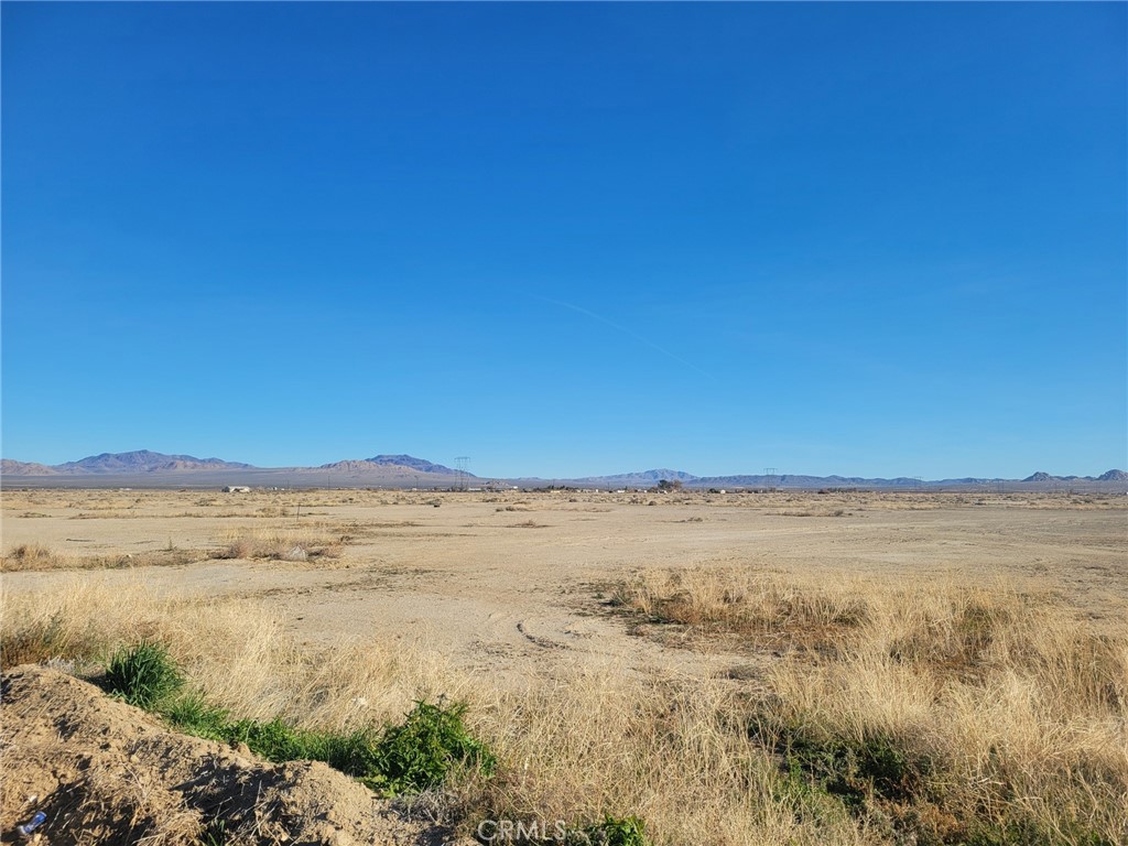0 Locust Property Photo 2