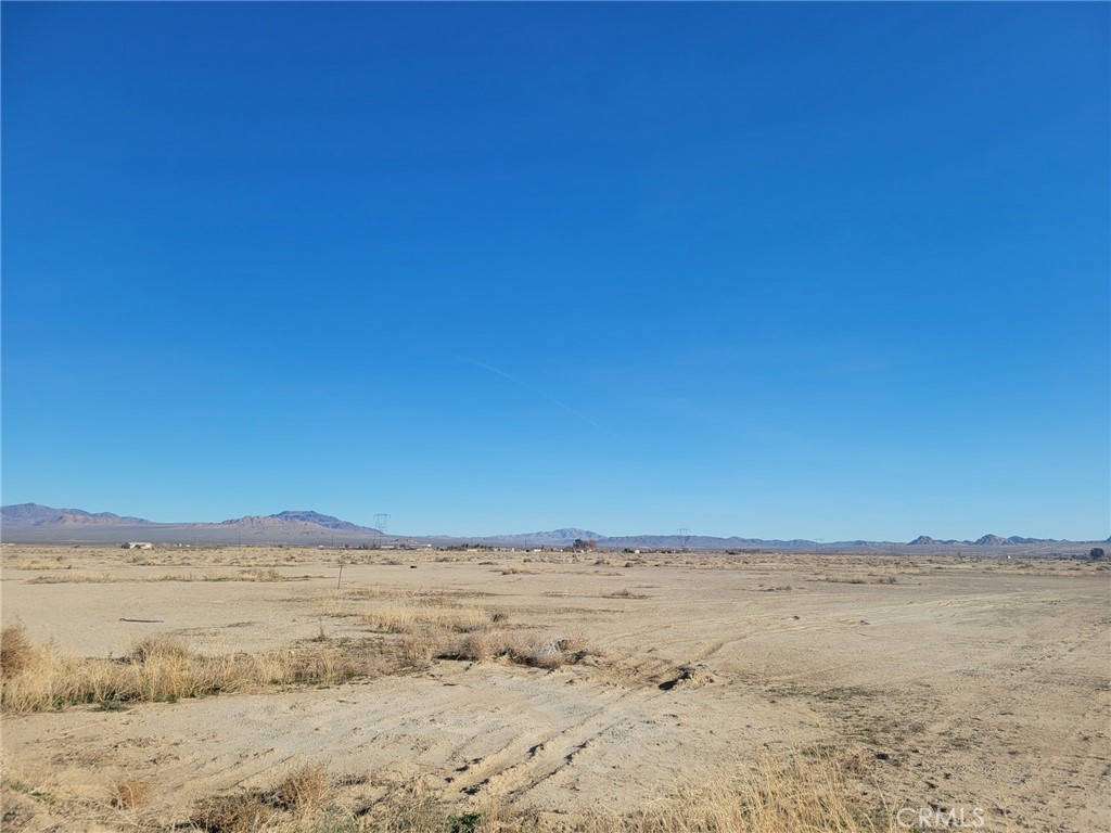 0 Locust Property Photo 5