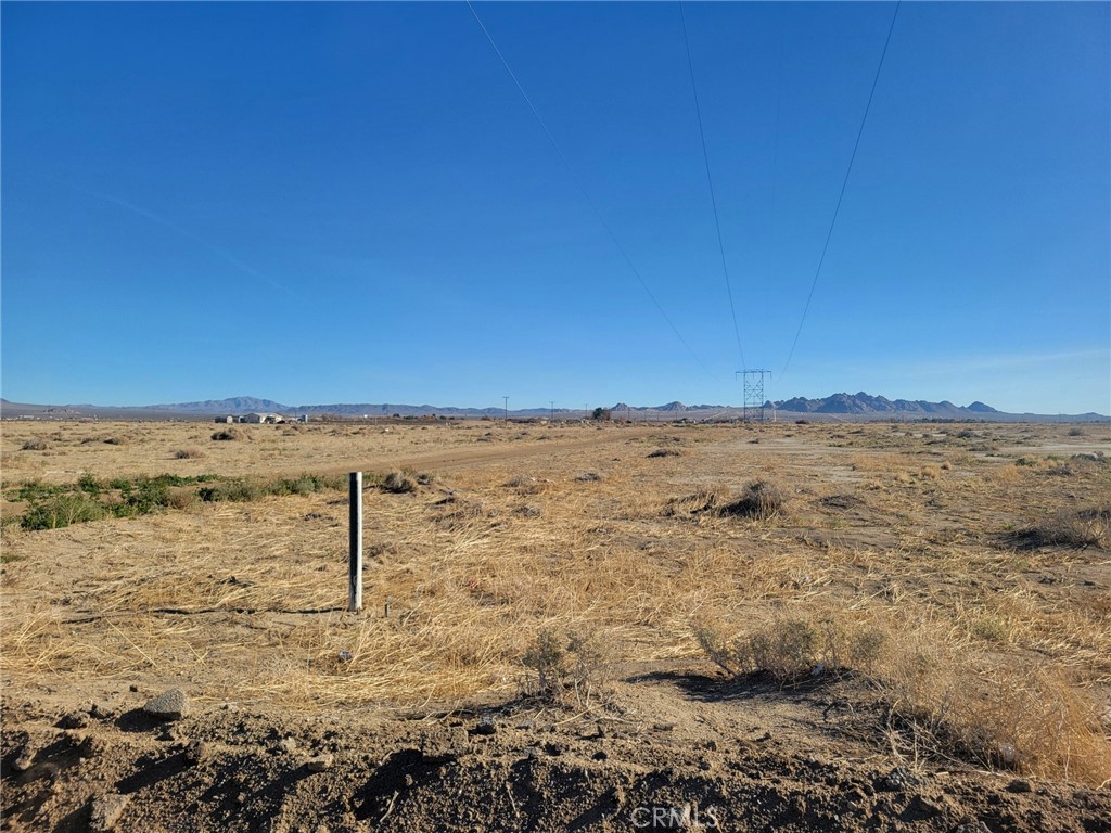 0 Locust Property Photo 9