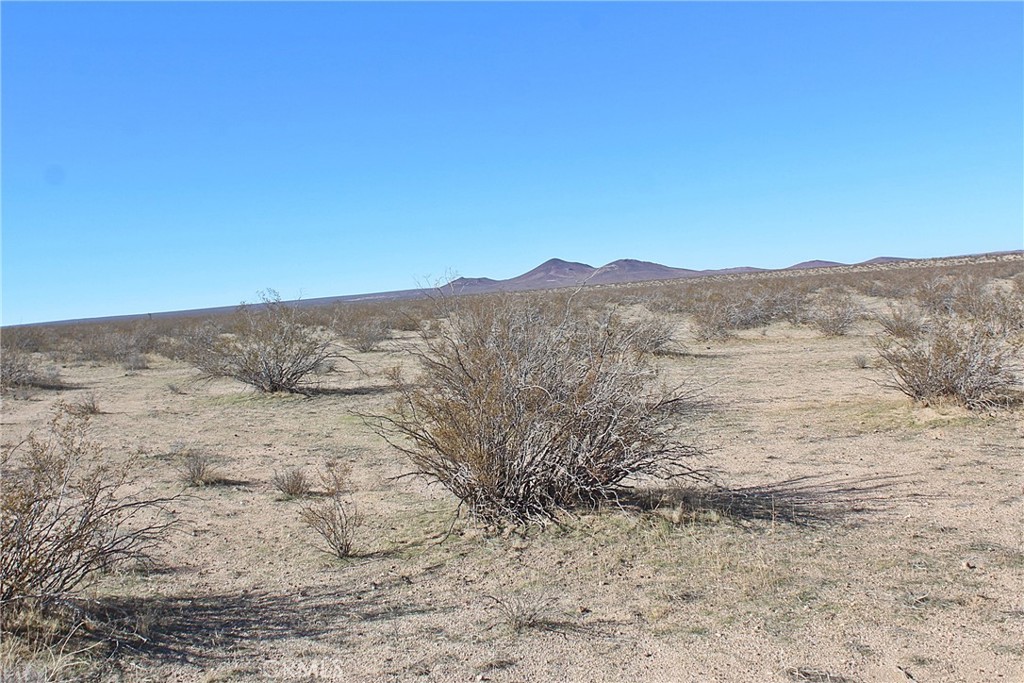 112 Off Highway 395 And Buckthorne Canyon Property Photo 4