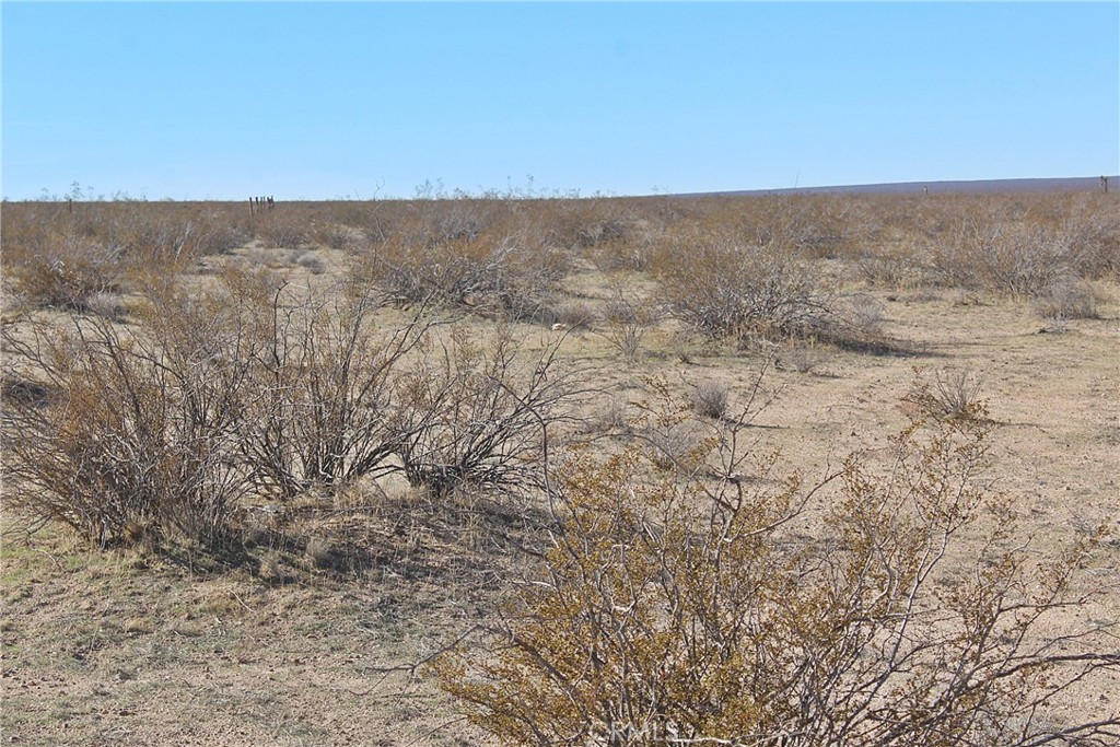 112 Off Highway 395 And Buckthorne Canyon Property Photo 5