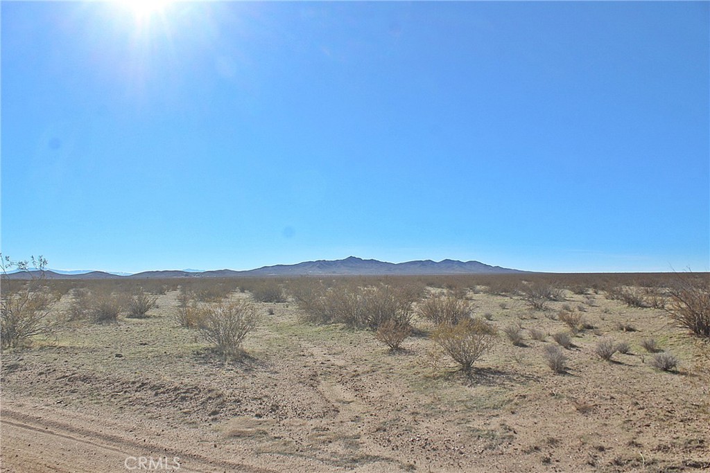 112 Off Highway 395 And Buckthorne Canyon Property Photo 7