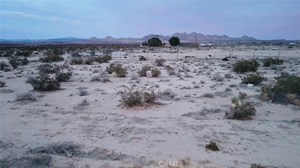 40 Rodeo Property Photo 9