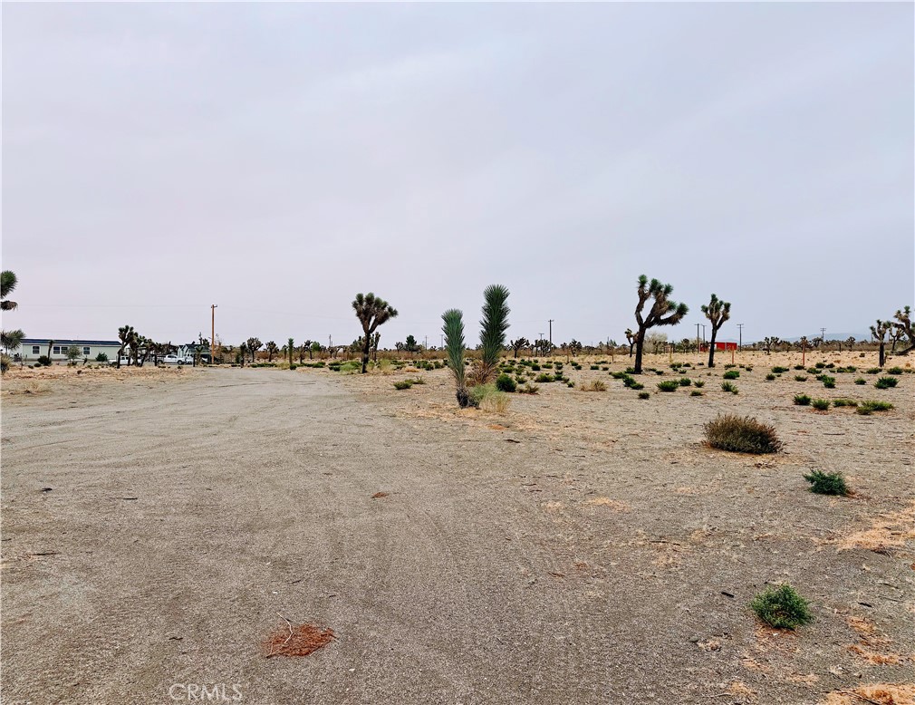 12452 Golden View Property Photo 6
