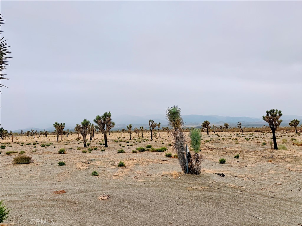 12452 Golden View Property Photo 7