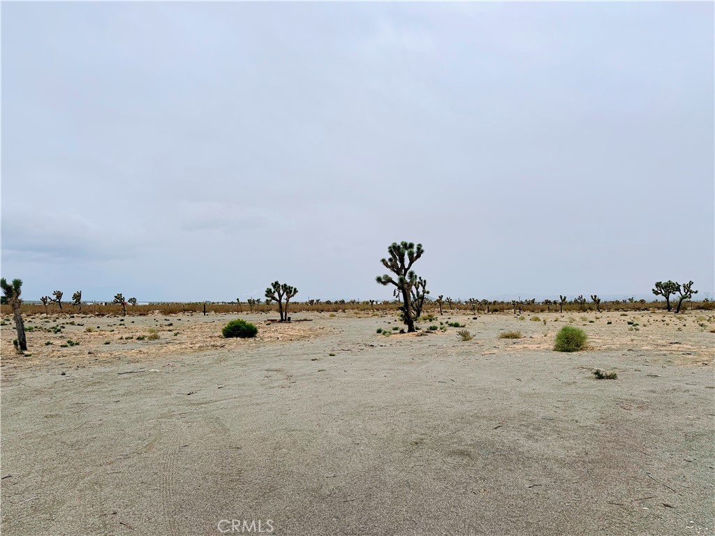 12452 Golden View Property Photo 8