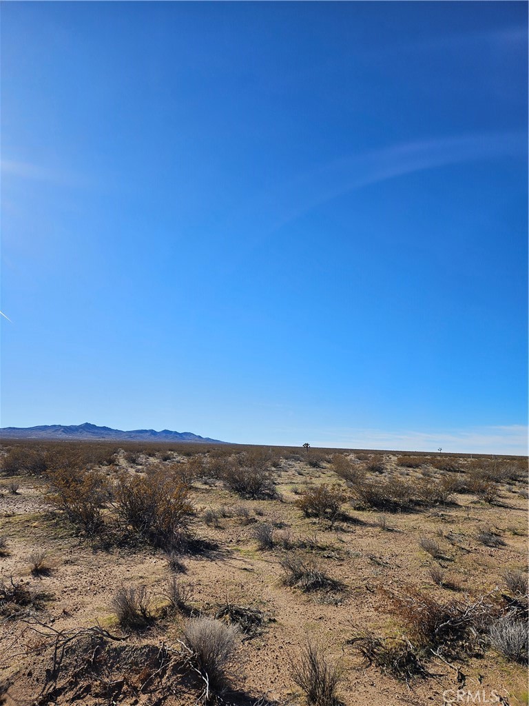0 Buckthorne Canyon Road Property Photo 3