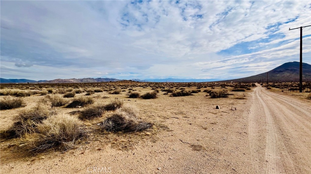 47229227 Harris Lane Property Photo 16