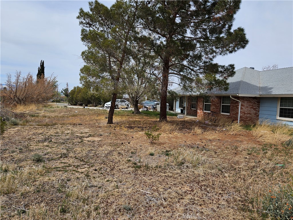 11175 Tyee Road Property Photo 1