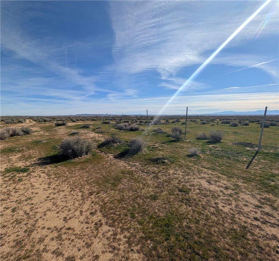 13251 135th Street Property Photo 6