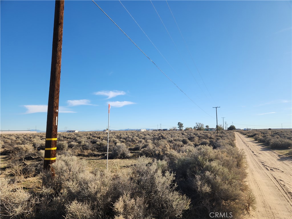 20 Ac Edie Road Property Photo 5