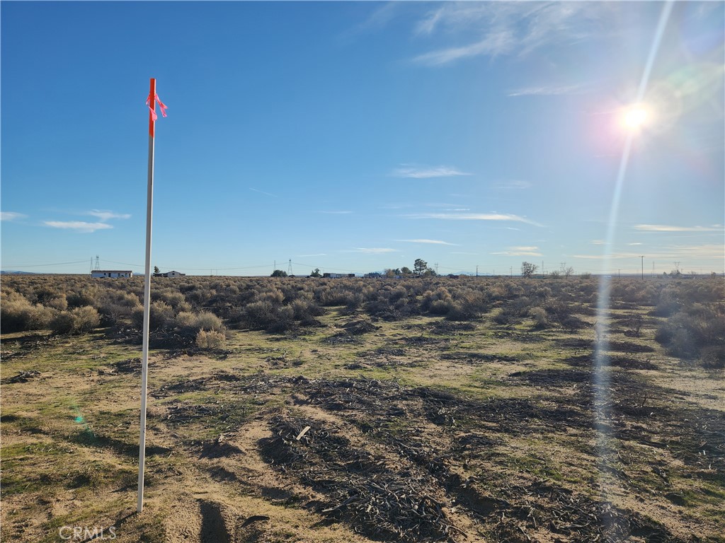 20 Ac Edie Road Property Photo 8