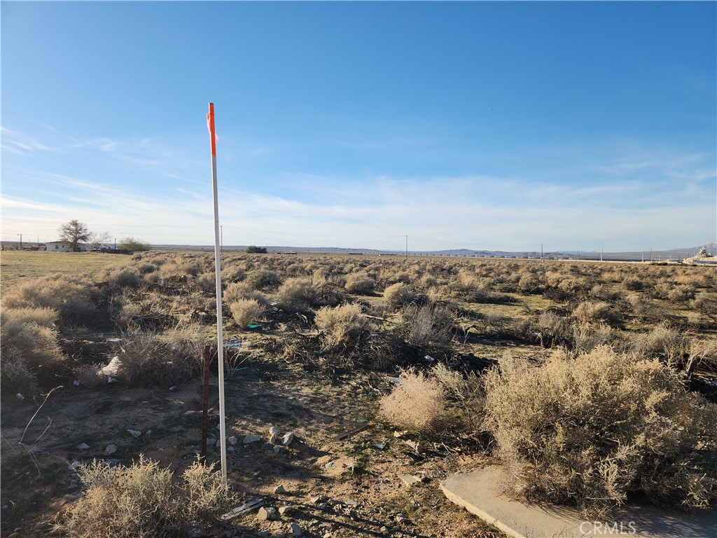 20 Ac Edie Road Property Photo 10