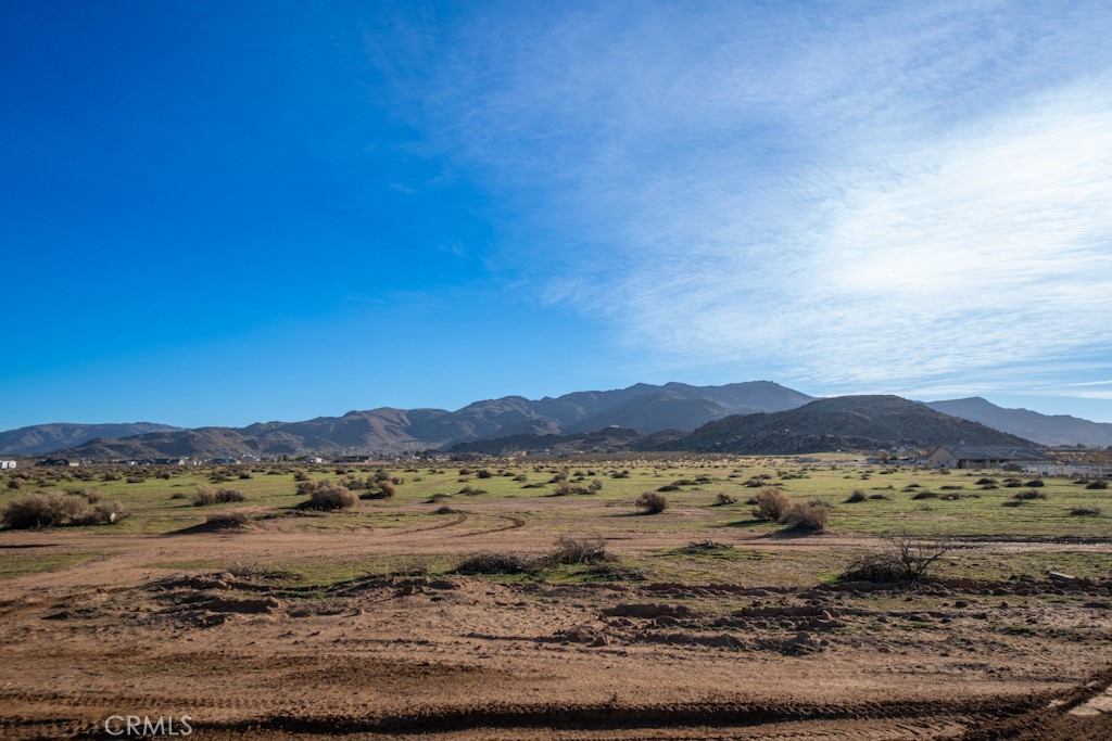 0 , Property Photo 4