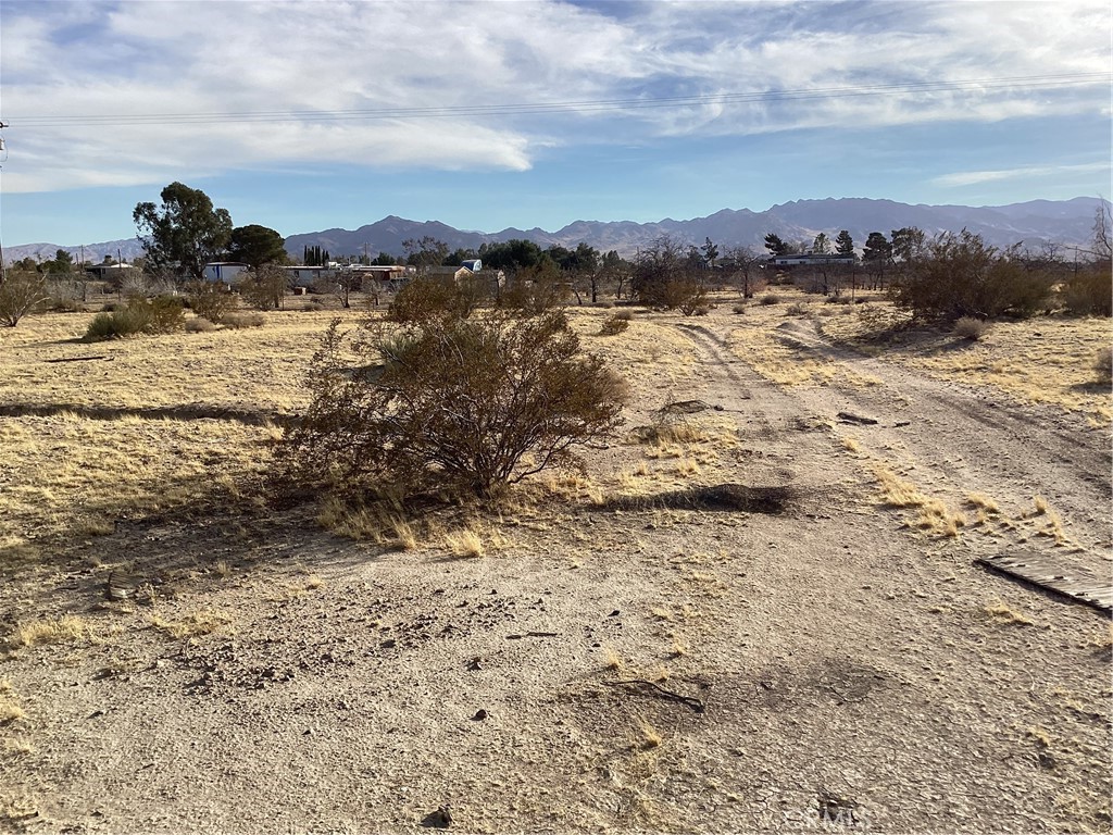 42979 Mandril Property Photo 3