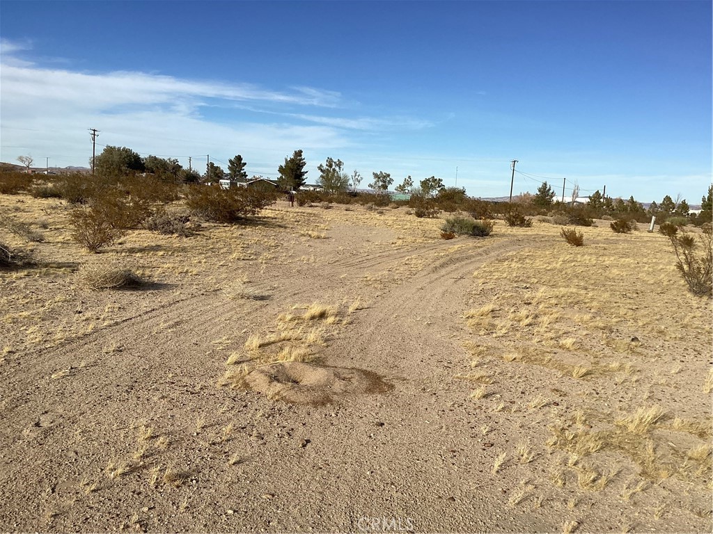 42979 Mandril Property Photo 4