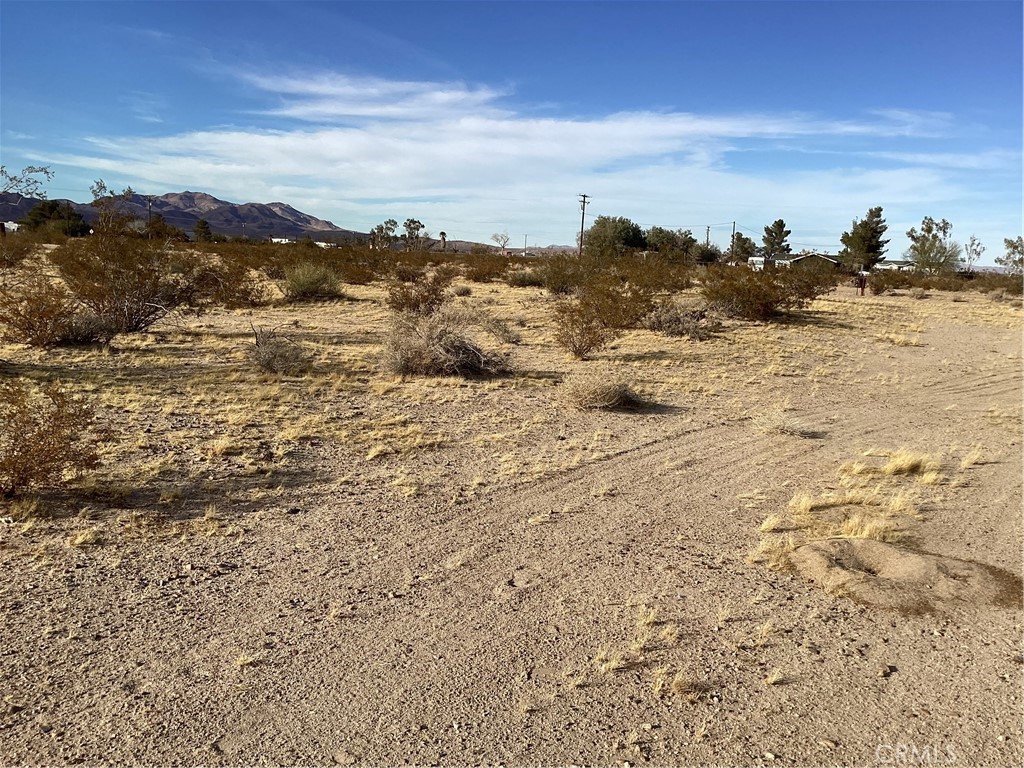 42979 Mandril Property Photo 5