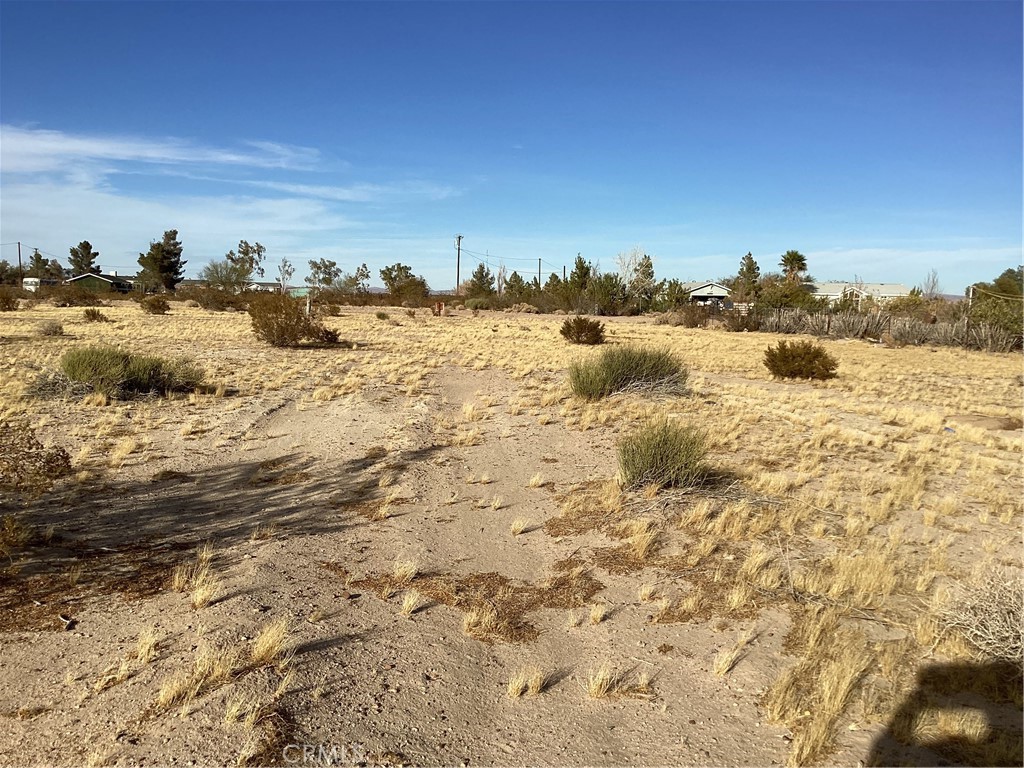 42979 Mandril Property Photo 10