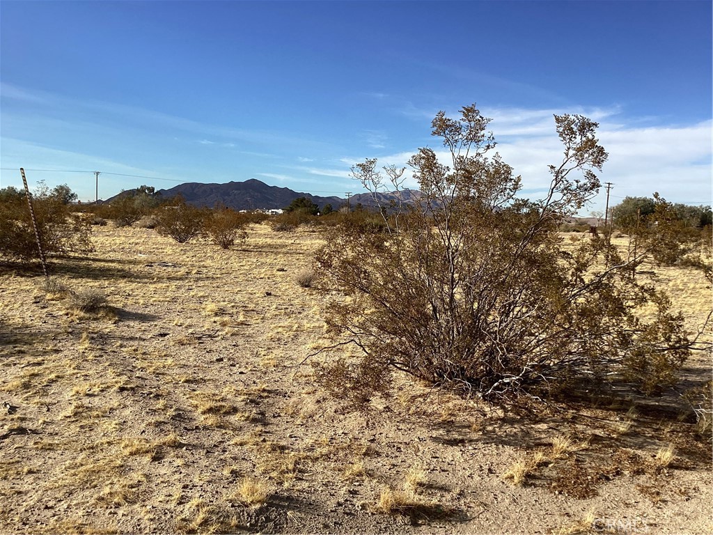 42979 Mandril Property Photo 12