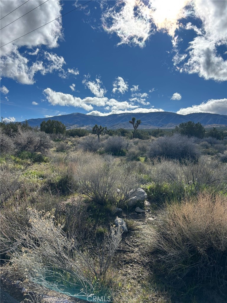 0 Fort Tejon-puzzle Canyon Property Photo 1