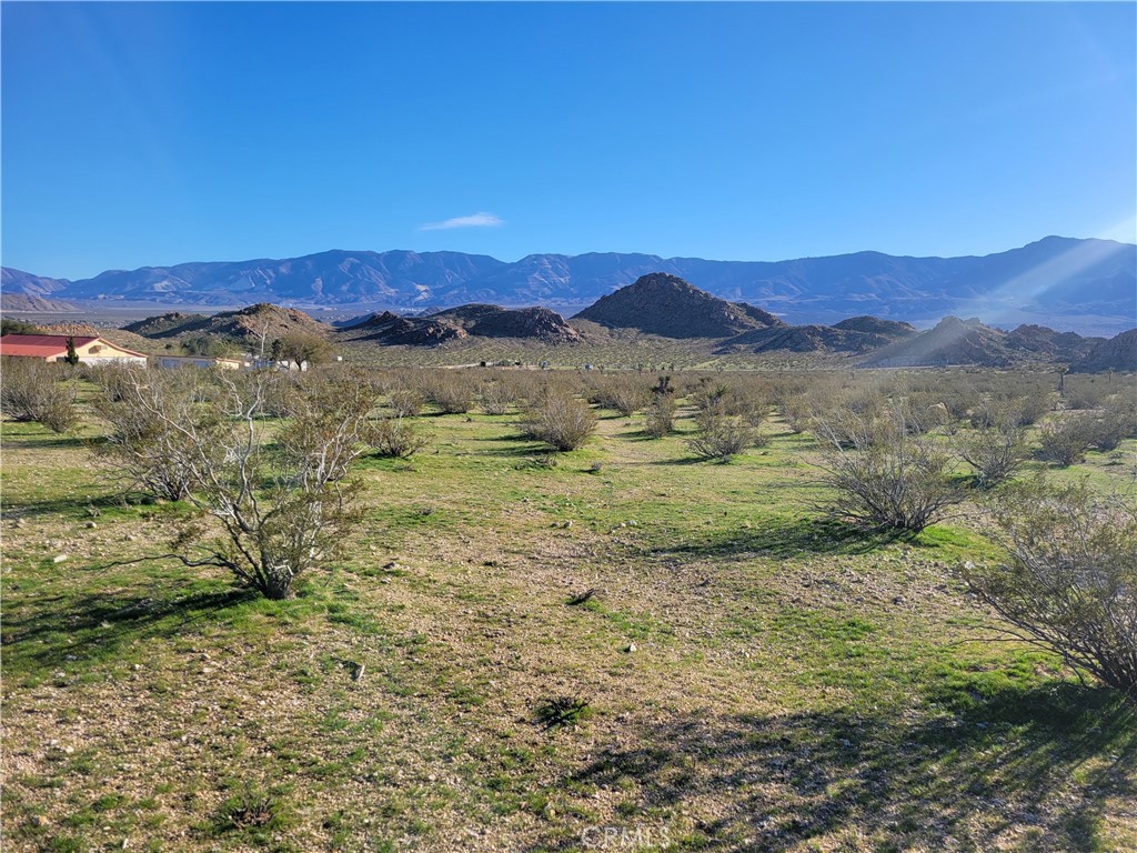 0 Rabbit Springs Road Property Photo 1