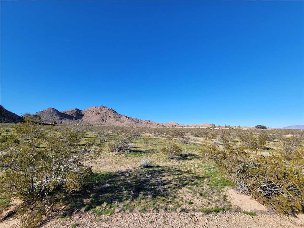 0 Rabbit Springs Road Property Photo 2