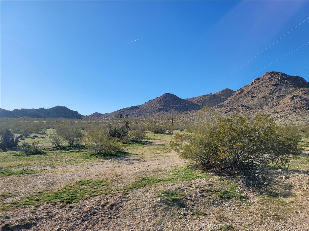 0 Rabbit Springs Road Property Photo 3
