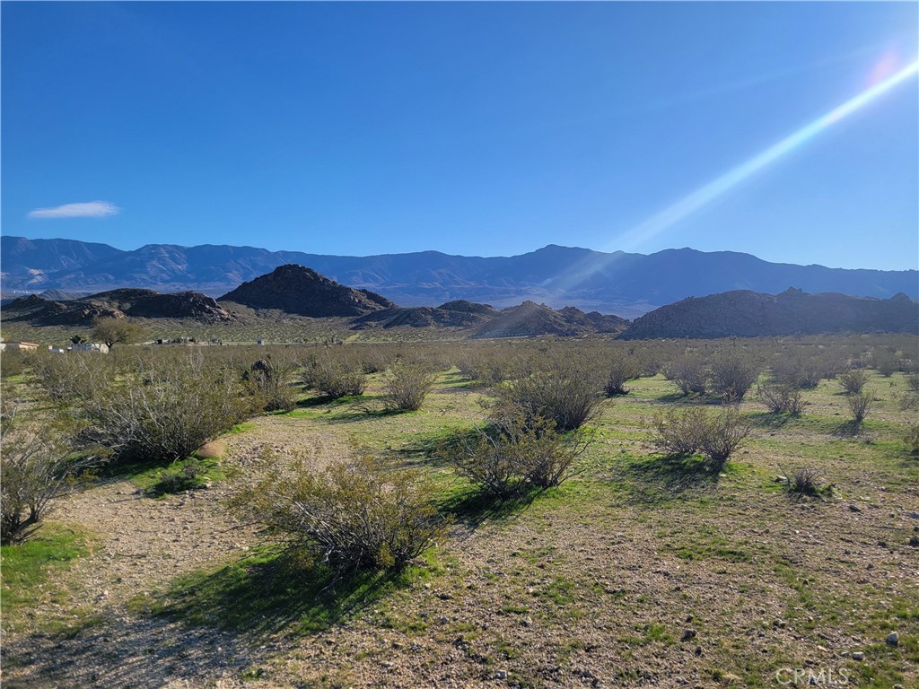 0 Rabbit Springs Road Property Photo 4