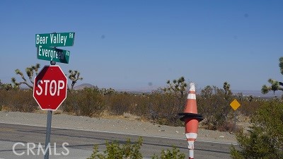 0 Bear Valley Road Property Photo 1