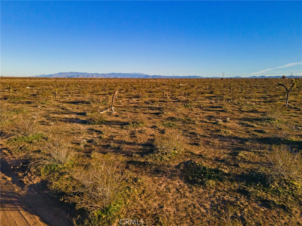 123 Tumbleweed Property Photo 11